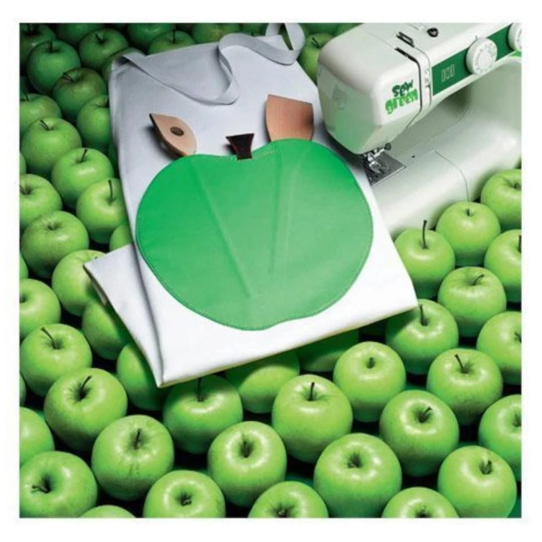 MÁQUINA DE COSER ELNA 1000 GREN