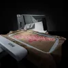 MÁQUINA DE COSER Y BORDAR PFAFF CREATIVE EXPECT 350